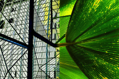 Nice. Greenhouse at Airport. Gravity/The Force of Nature