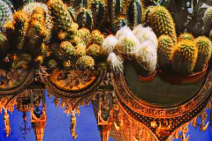 venice_4